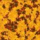 Buy autumn leafs background video