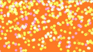 Buy Color flower falling on animated background