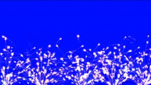 Buy fireworks on blue
