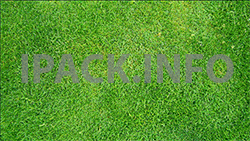 Buy video on grass background