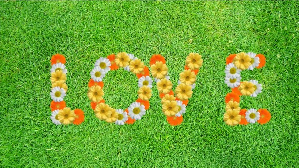 Buy Love Video on grass background
