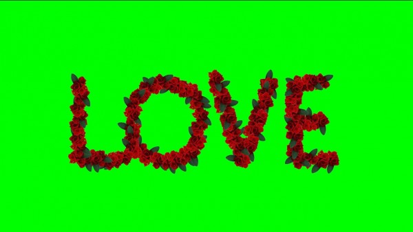 Buy video red roses text - LOVE