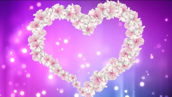 Buy heart video with animated white flower