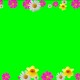 Buy flower frame video background