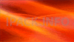 Buy Abstract line animated on red background